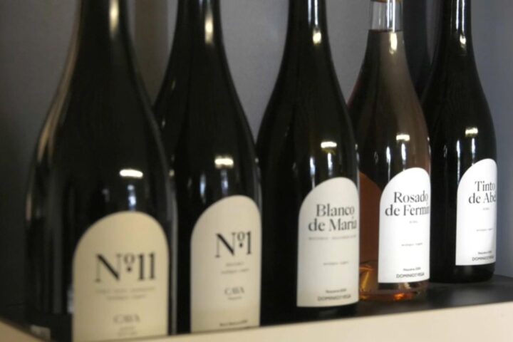 b1229048 fd3e 4552 89c6 a5935036d3cd 16 9 aspect ratio 1600w 0