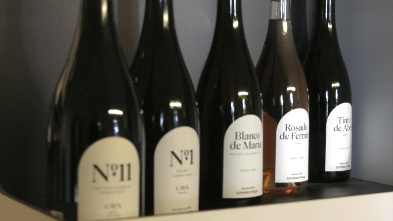 b1229048 fd3e 4552 89c6 a5935036d3cd 16 9 aspect ratio 1600w 0