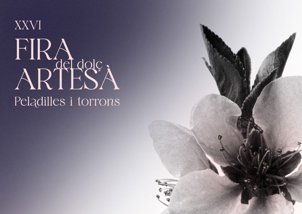 cartel VALb horizontal pie