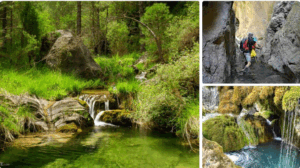 e845fcc6 68c1 45cd 9dae 6d927f156091