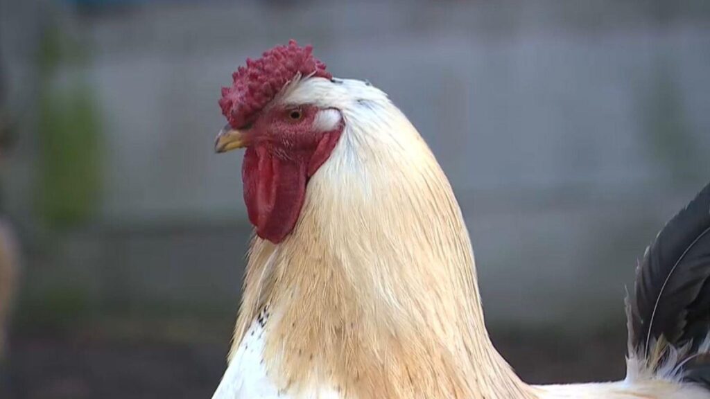 f877f341 4f2b 4114 8bee 2e157887c940 16 9 aspect ratio 1600w 0 1