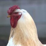 f877f341 4f2b 4114 8bee 2e157887c940 16 9 aspect ratio 1600w 0 1