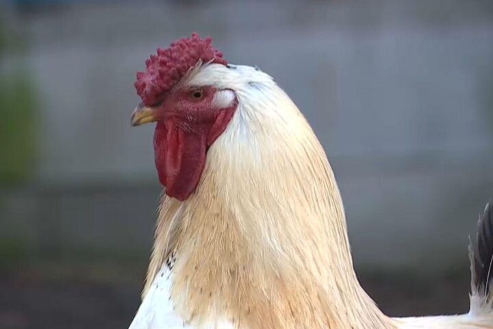 f877f341 4f2b 4114 8bee 2e157887c940 16 9 aspect ratio 1600w 0 1