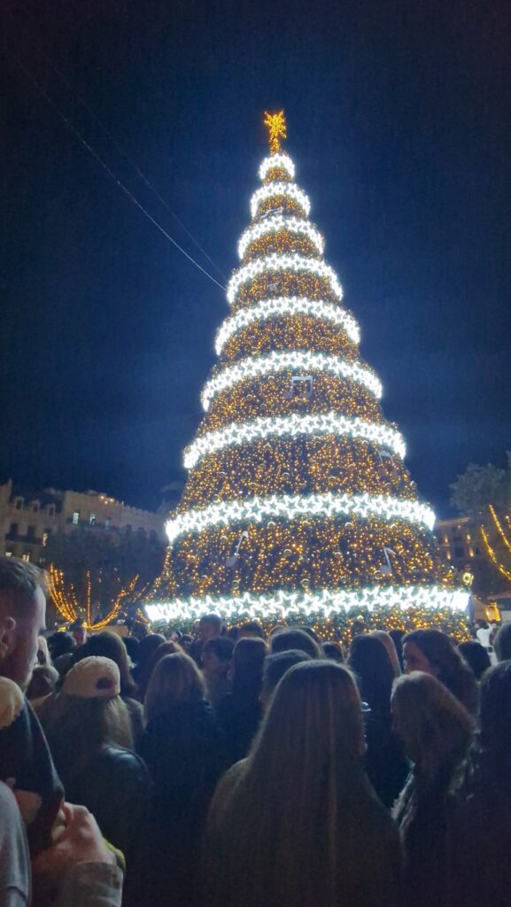 luces de navidad valencia 20251121 184900 5 Mediana
