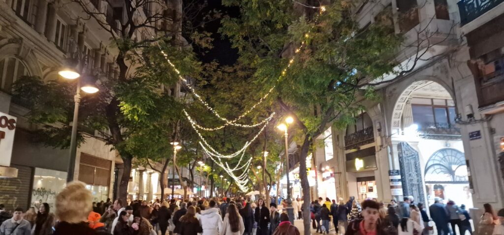 luces de navidad valencia 20251121 184900 8 Mediana