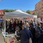 mercado solidario manises 2023