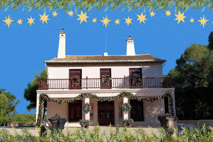 20251125 Casa Forestal Navidad Mediana