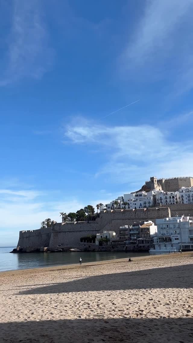 585207690 1200281605375064 3189935827534744161 n