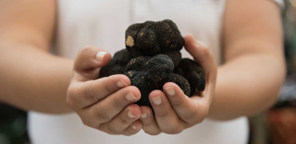 Cazador de Trufas Turisme Vinaros