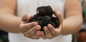 Cazador de Trufas Turisme Vinaros