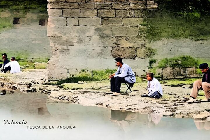 anguila en la Albufera 2