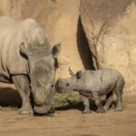 fotonoticia 20251226095923 690