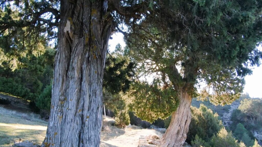 0cd32713 c6ae 49ac 9879 c8783aab872a 16 9 aspect ratio 1600w 0