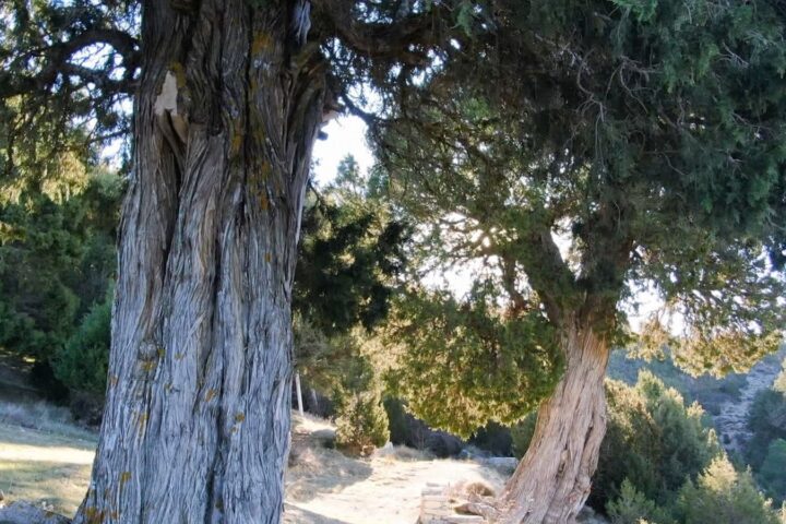 0cd32713 c6ae 49ac 9879 c8783aab872a 16 9 aspect ratio 1600w 0