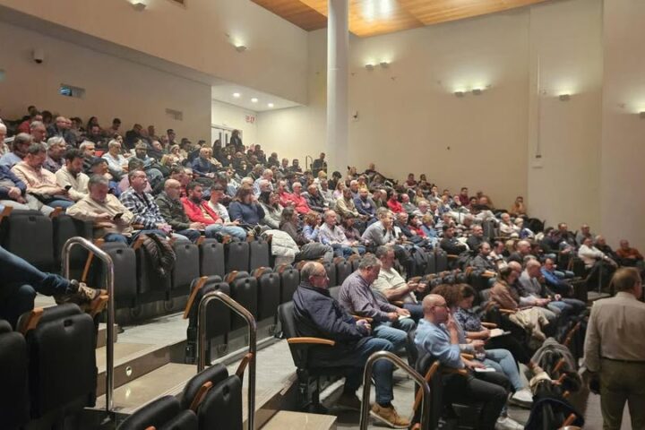 615423260 25221367427543080 3638793154380765555 n