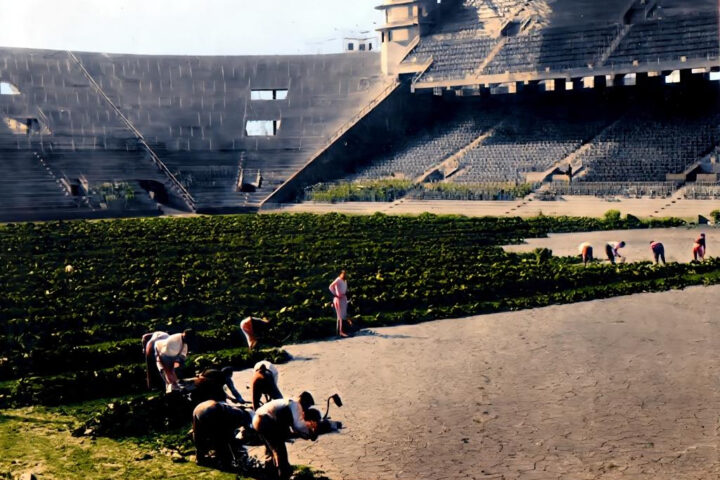 G NNzvbWMAAsnZa 1 fotor 20260109234849