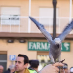 MG 6526 edited edited edited