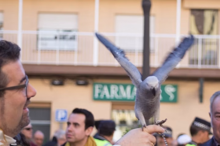 MG 6526 edited edited edited