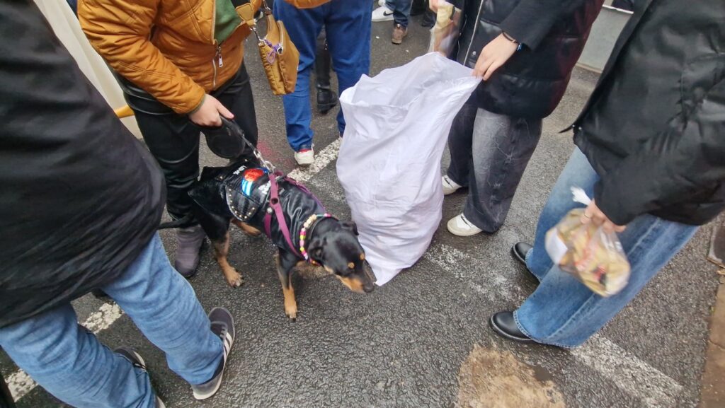 El día en que Valencia vuelve a bendecir a sus animales (y por qué esta edición ha sido especial) 80 bendicion de animales de la calle Sagunto reune a miles de personas en Valencia por San Antonio Abad 20260117 104730 101 Mediana