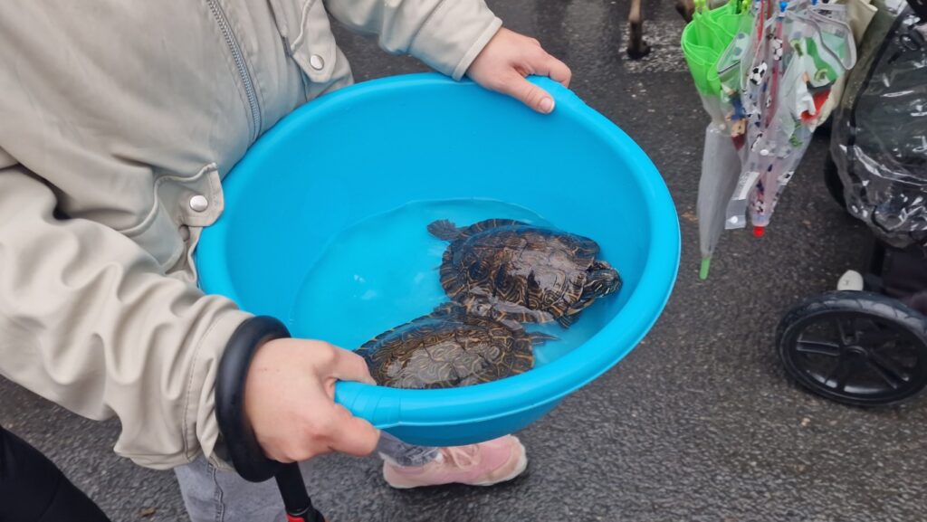 El día en que Valencia vuelve a bendecir a sus animales (y por qué esta edición ha sido especial) 98 bendicion de animales de la calle Sagunto reune a miles de personas en Valencia por San Antonio Abad 20260117 104730 135 Mediana