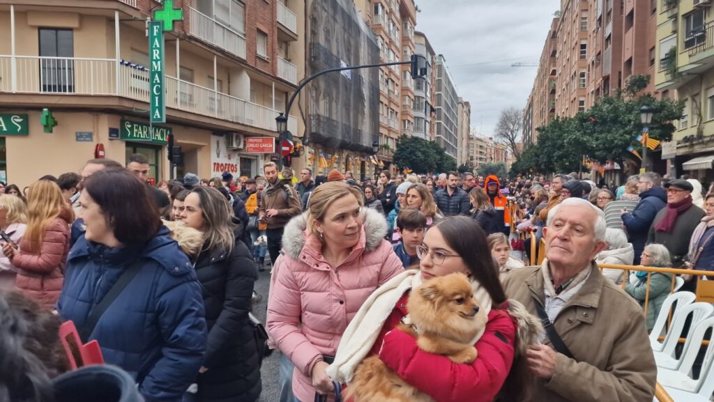 El día en que Valencia vuelve a bendecir a sus animales (y por qué esta edición ha sido especial) 100 bendicion de animales de la calle Sagunto reune a miles de personas en Valencia por San Antonio Abad 20260117 104730 141 Mediana