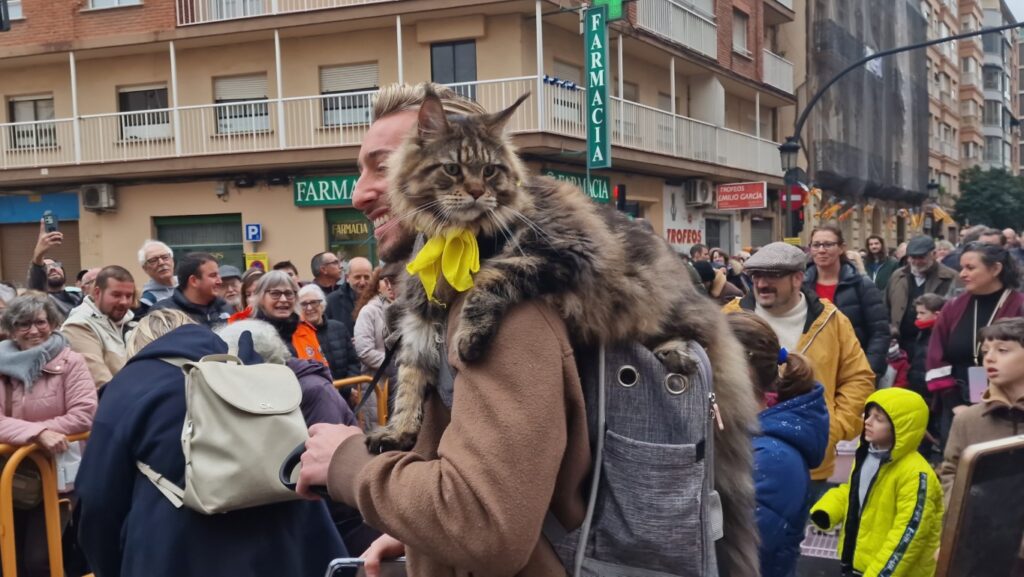 El día en que Valencia vuelve a bendecir a sus animales (y por qué esta edición ha sido especial) 106 bendicion de animales de la calle Sagunto reune a miles de personas en Valencia por San Antonio Abad 20260117 104730 151 Mediana