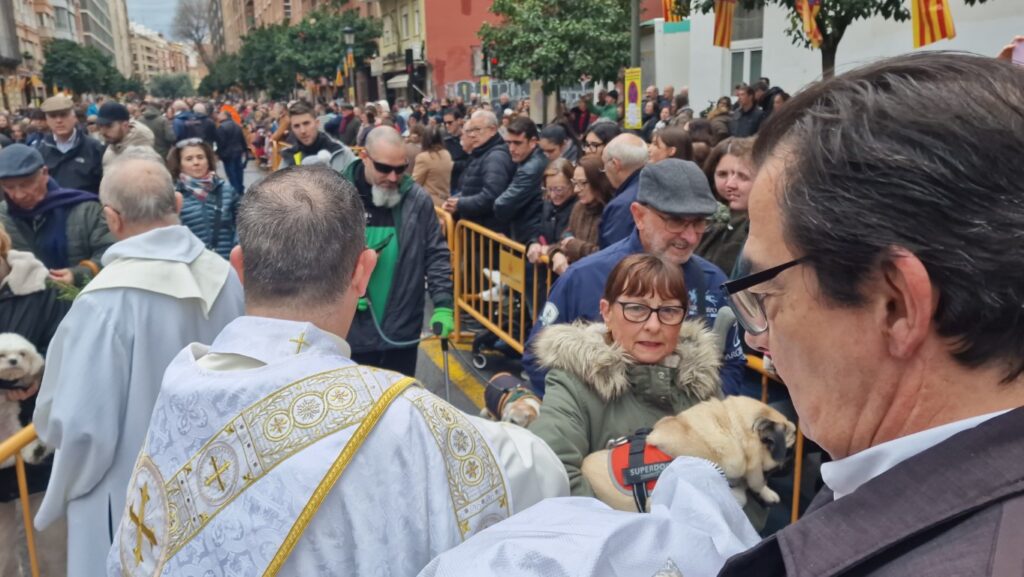 El día en que Valencia vuelve a bendecir a sus animales (y por qué esta edición ha sido especial) 114 bendicion de animales de la calle Sagunto reune a miles de personas en Valencia por San Antonio Abad 20260117 104730 168 Mediana