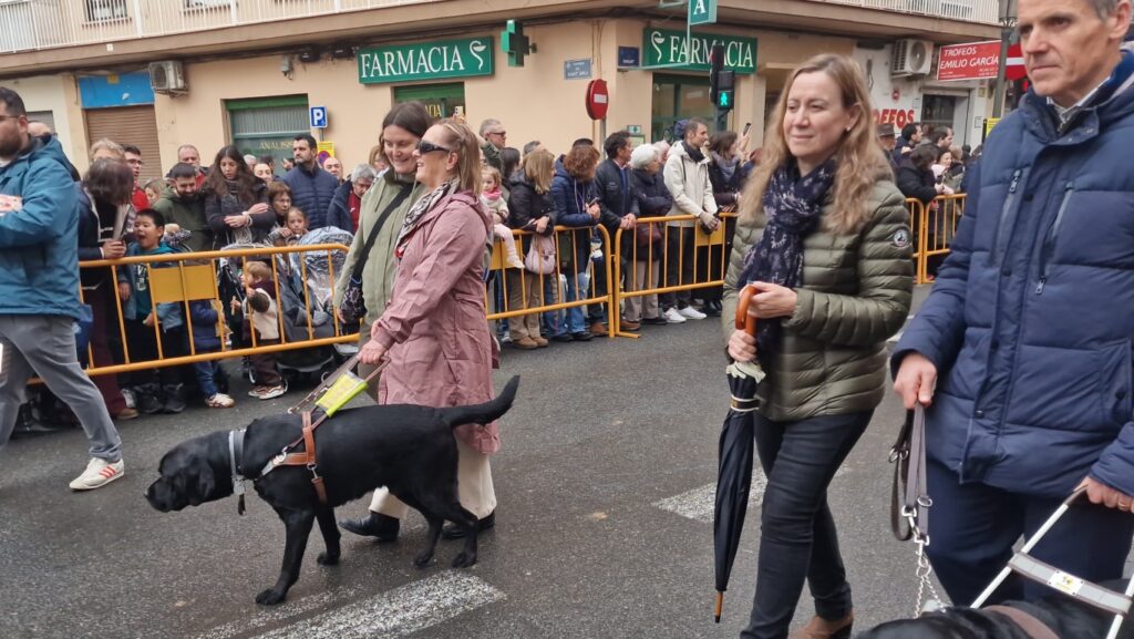 El día en que Valencia vuelve a bendecir a sus animales (y por qué esta edición ha sido especial) 124 bendicion de animales de la calle Sagunto reune a miles de personas en Valencia por San Antonio Abad 20260117 104730 183 Mediana