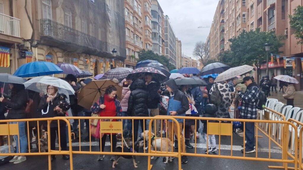 El día en que Valencia vuelve a bendecir a sus animales (y por qué esta edición ha sido especial) 32 bendicion de animales de la calle Sagunto reune a miles de personas en Valencia por San Antonio Abad 20260117 104730 2 Mediana
