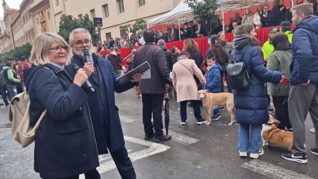 El día en que Valencia vuelve a bendecir a sus animales (y por qué esta edición ha sido especial) 136 bendicion de animales de la calle Sagunto reune a miles de personas en Valencia por San Antonio Abad 20260117 104730 202 Mediana