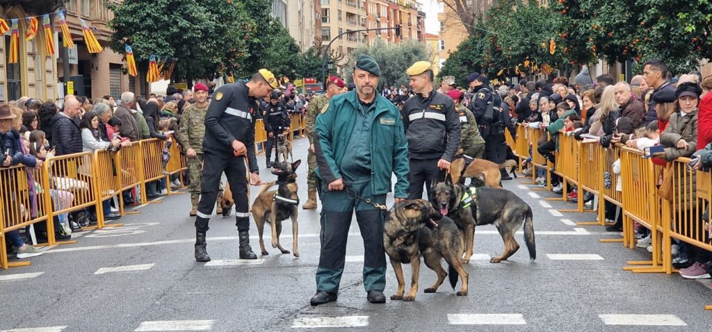 El día en que Valencia vuelve a bendecir a sus animales (y por qué esta edición ha sido especial) 171 bendicion de animales de la calle Sagunto reune a miles de personas en Valencia por San Antonio Abad 20260117 104730 274 Mediana