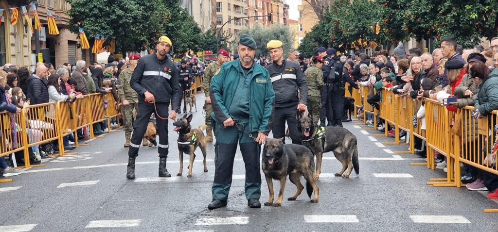El día en que Valencia vuelve a bendecir a sus animales (y por qué esta edición ha sido especial) 172 bendicion de animales de la calle Sagunto reune a miles de personas en Valencia por San Antonio Abad 20260117 104730 275 Mediana