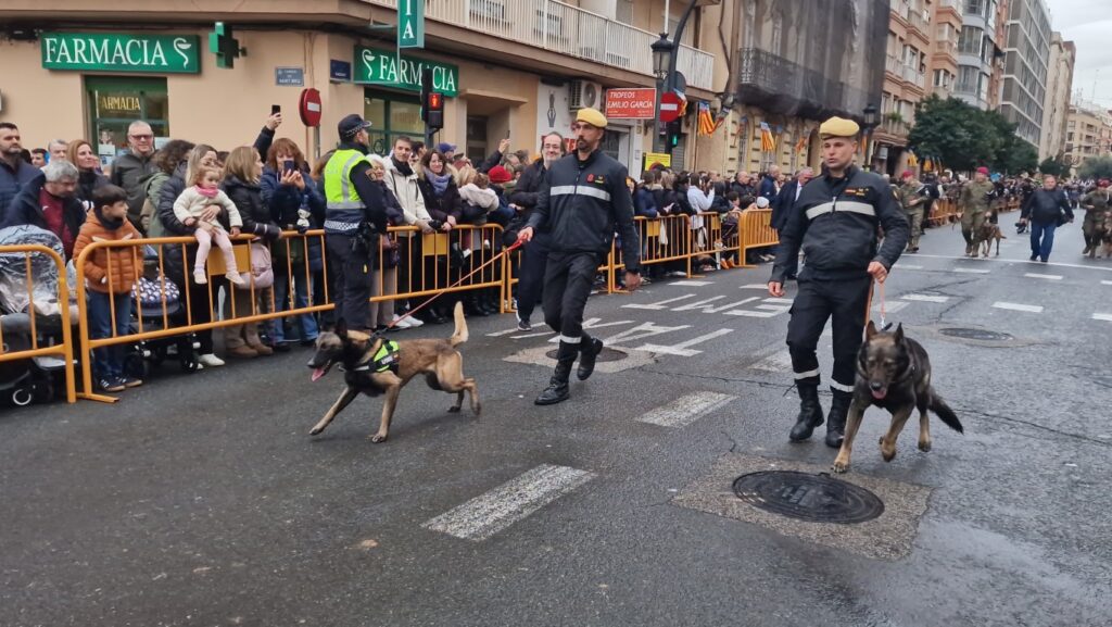El día en que Valencia vuelve a bendecir a sus animales (y por qué esta edición ha sido especial) 175 bendicion de animales de la calle Sagunto reune a miles de personas en Valencia por San Antonio Abad 20260117 104730 281 Mediana