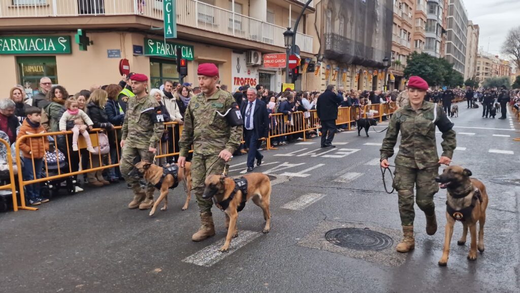 El día en que Valencia vuelve a bendecir a sus animales (y por qué esta edición ha sido especial) 176 bendicion de animales de la calle Sagunto reune a miles de personas en Valencia por San Antonio Abad 20260117 104730 284 Mediana