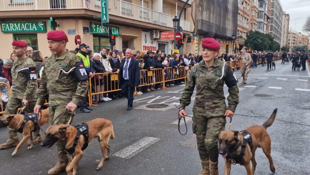 El día en que Valencia vuelve a bendecir a sus animales (y por qué esta edición ha sido especial) 177 bendicion de animales de la calle Sagunto reune a miles de personas en Valencia por San Antonio Abad 20260117 104730 285 Mediana