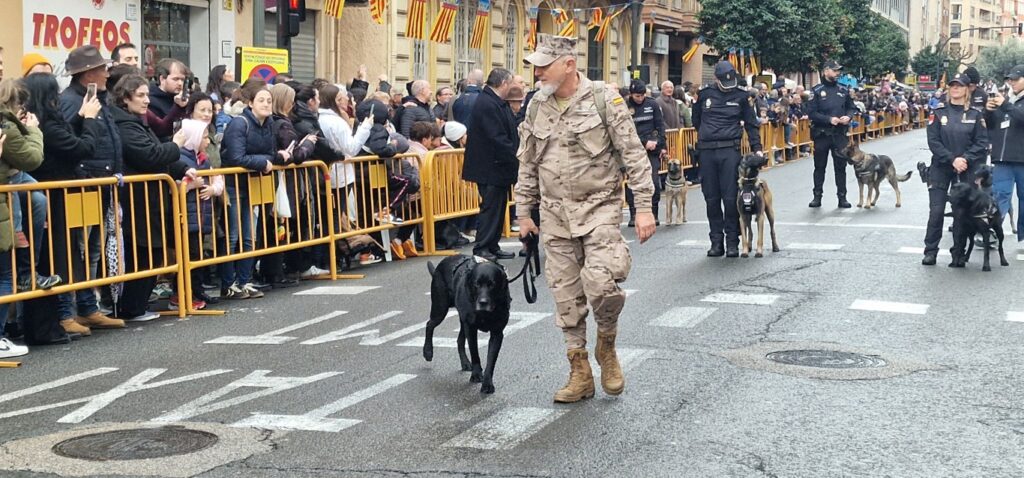 El día en que Valencia vuelve a bendecir a sus animales (y por qué esta edición ha sido especial) 179 bendicion de animales de la calle Sagunto reune a miles de personas en Valencia por San Antonio Abad 20260117 104730 291 Mediana