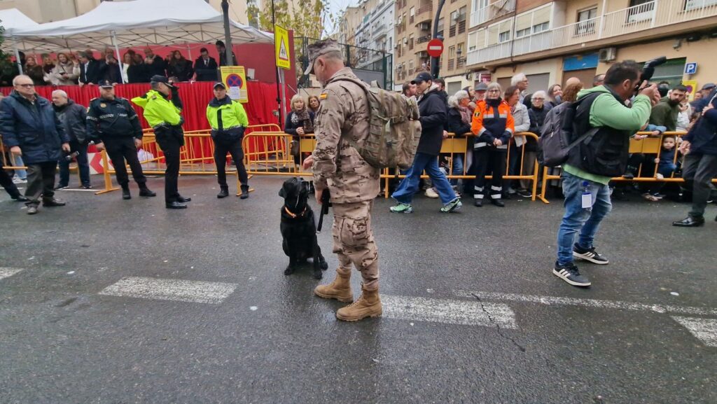 El día en que Valencia vuelve a bendecir a sus animales (y por qué esta edición ha sido especial) 182 bendicion de animales de la calle Sagunto reune a miles de personas en Valencia por San Antonio Abad 20260117 104730 302 Mediana