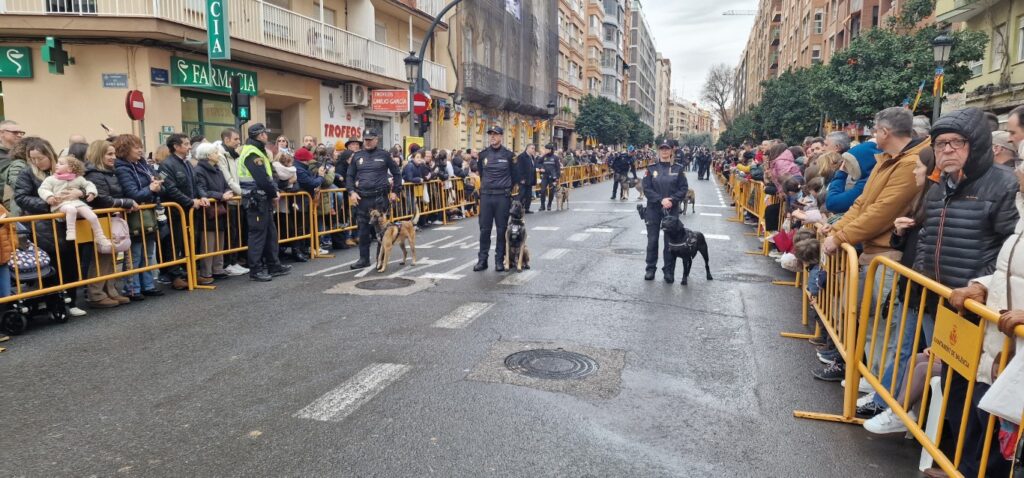 El día en que Valencia vuelve a bendecir a sus animales (y por qué esta edición ha sido especial) 183 bendicion de animales de la calle Sagunto reune a miles de personas en Valencia por San Antonio Abad 20260117 104730 306 Mediana