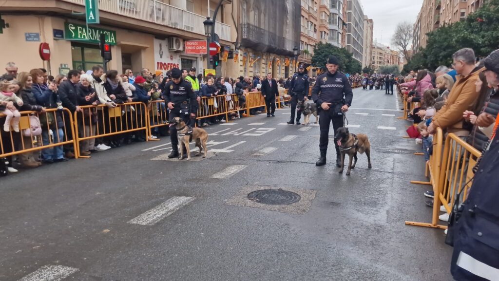 El día en que Valencia vuelve a bendecir a sus animales (y por qué esta edición ha sido especial) 185 bendicion de animales de la calle Sagunto reune a miles de personas en Valencia por San Antonio Abad 20260117 104730 310 Mediana
