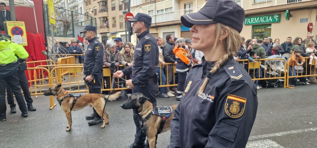 El día en que Valencia vuelve a bendecir a sus animales (y por qué esta edición ha sido especial) 187 bendicion de animales de la calle Sagunto reune a miles de personas en Valencia por San Antonio Abad 20260117 104730 315 Mediana