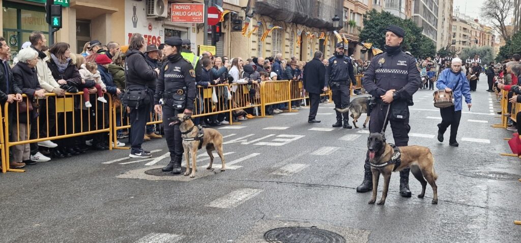 El día en que Valencia vuelve a bendecir a sus animales (y por qué esta edición ha sido especial) 188 bendicion de animales de la calle Sagunto reune a miles de personas en Valencia por San Antonio Abad 20260117 104730 317 Mediana