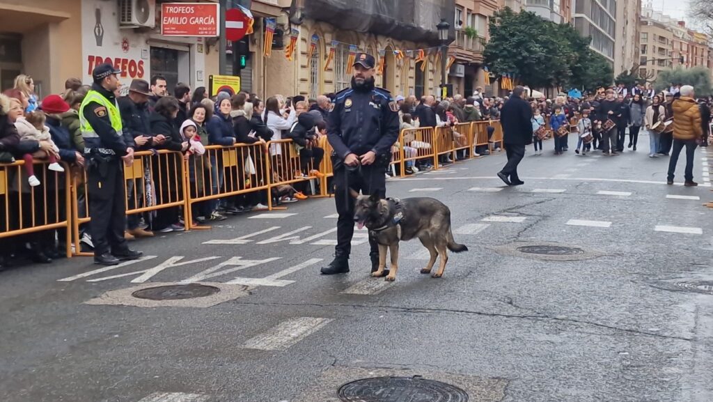 El día en que Valencia vuelve a bendecir a sus animales (y por qué esta edición ha sido especial) 190 bendicion de animales de la calle Sagunto reune a miles de personas en Valencia por San Antonio Abad 20260117 104730 320 Mediana