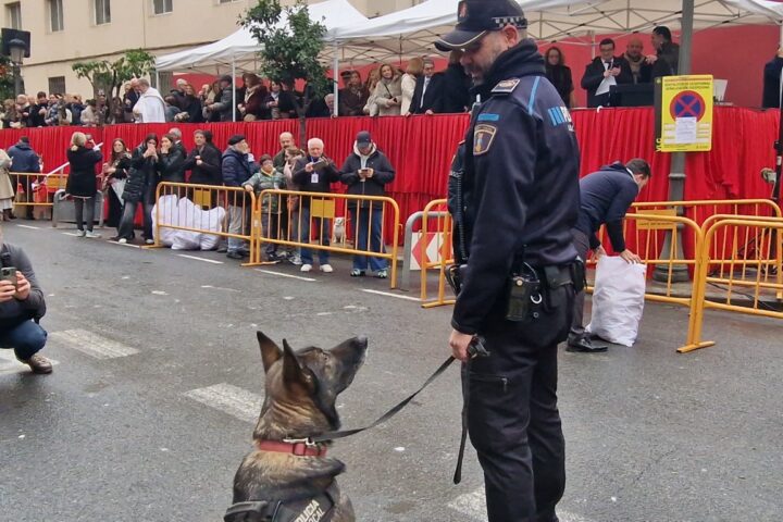 bendicion de animales de la calle Sagunto reune a miles de personas en Valencia por San Antonio Abad 20260117 104730 330 Mediana