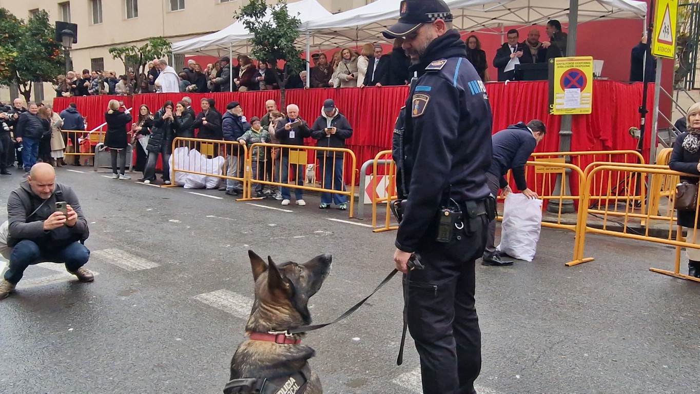 bendicion de animales de la calle Sagunto reune a miles de personas en Valencia por San Antonio Abad 20260117 104730 330 Mediana