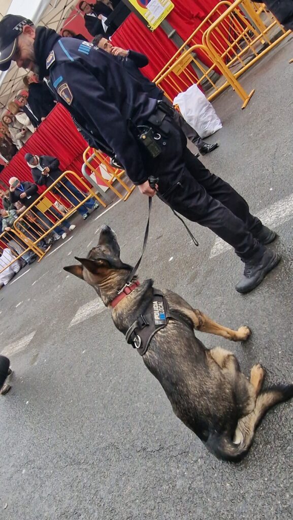 El día en que Valencia vuelve a bendecir a sus animales (y por qué esta edición ha sido especial) 195 bendicion de animales de la calle Sagunto reune a miles de personas en Valencia por San Antonio Abad 20260117 104730 331 Mediana