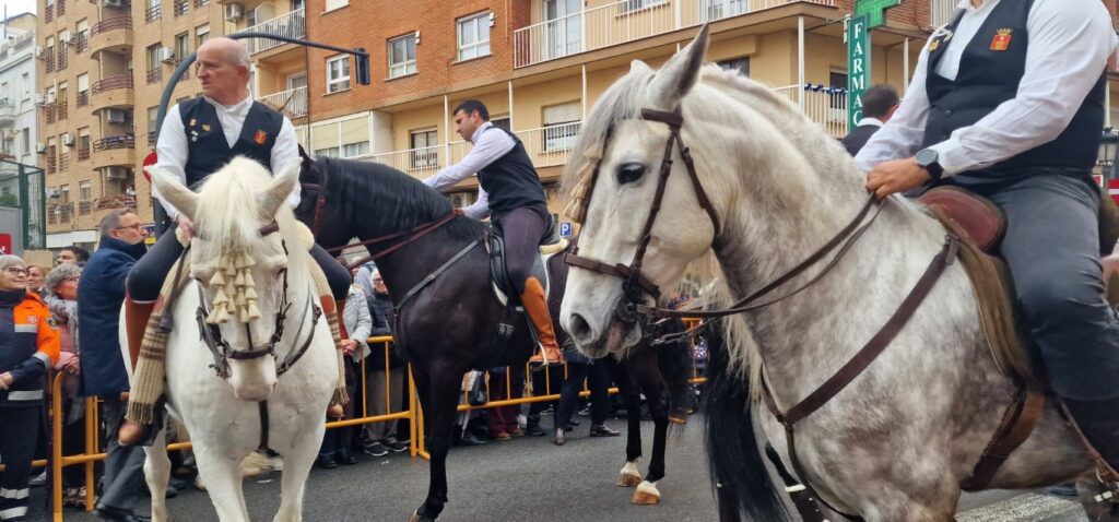El día en que Valencia vuelve a bendecir a sus animales (y por qué esta edición ha sido especial) 204 bendicion de animales de la calle Sagunto reune a miles de personas en Valencia por San Antonio Abad 20260117 104730 351 Mediana