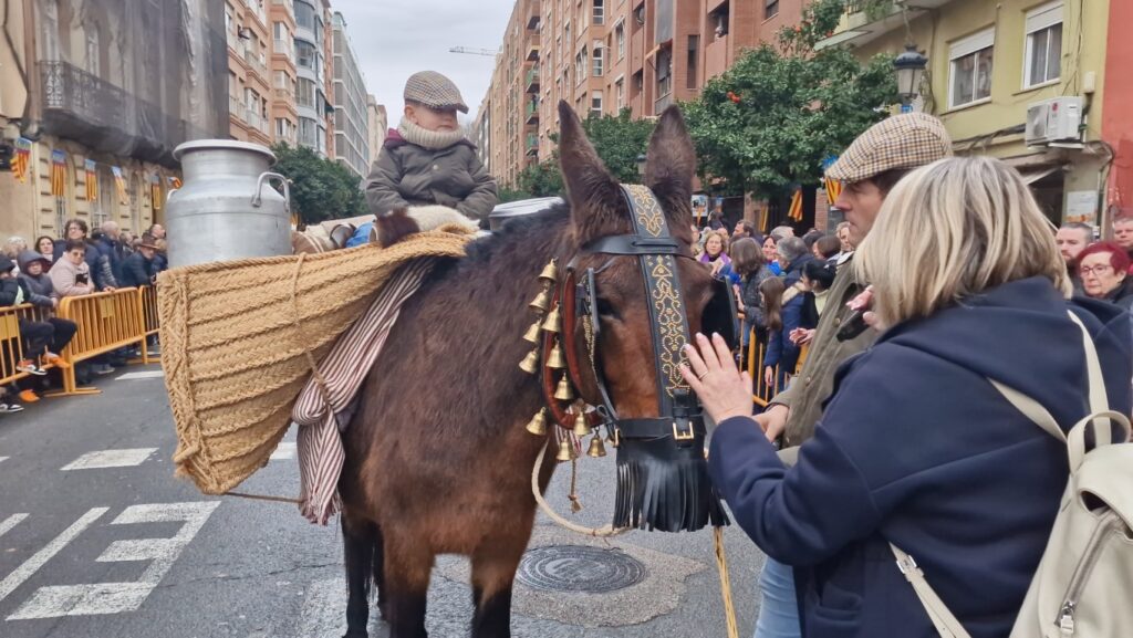 El día en que Valencia vuelve a bendecir a sus animales (y por qué esta edición ha sido especial) 213 bendicion de animales de la calle Sagunto reune a miles de personas en Valencia por San Antonio Abad 20260117 104730 371 Mediana
