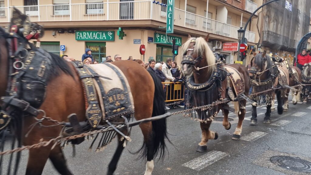 El día en que Valencia vuelve a bendecir a sus animales (y por qué esta edición ha sido especial) 218 bendicion de animales de la calle Sagunto reune a miles de personas en Valencia por San Antonio Abad 20260117 104730 378 Mediana