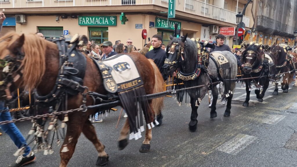 El día en que Valencia vuelve a bendecir a sus animales (y por qué esta edición ha sido especial) 219 bendicion de animales de la calle Sagunto reune a miles de personas en Valencia por San Antonio Abad 20260117 104730 385 Mediana