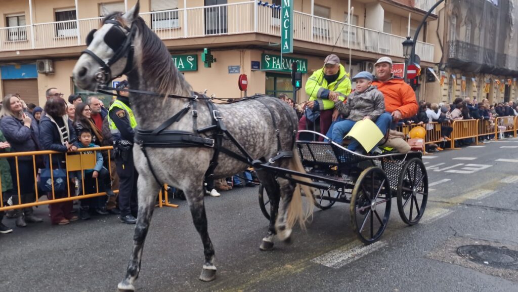 El día en que Valencia vuelve a bendecir a sus animales (y por qué esta edición ha sido especial) 222 bendicion de animales de la calle Sagunto reune a miles de personas en Valencia por San Antonio Abad 20260117 104730 391 Mediana